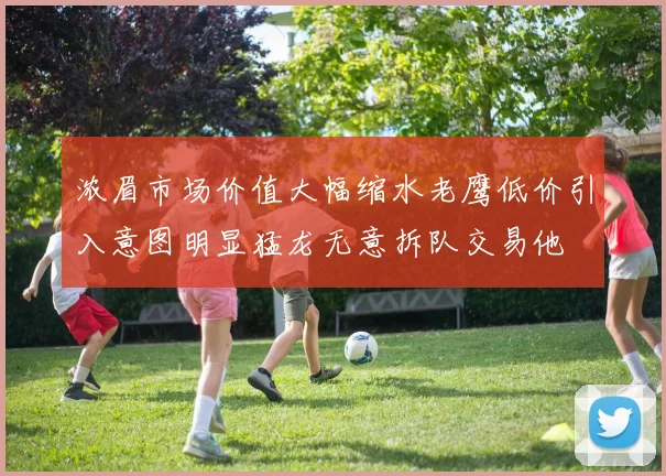 浓眉市场价值大幅缩水老鹰低价引入意图明显猛龙无意拆队交易他