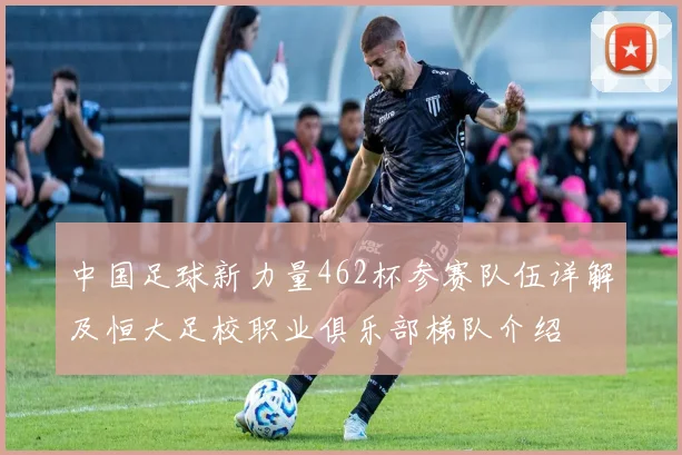中国足球新力量462杯参赛队伍详解及恒大足校职业俱乐部梯队介绍