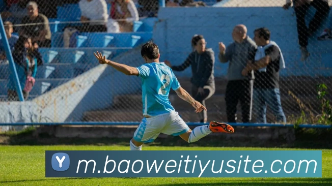 宝威体育APP 封面图